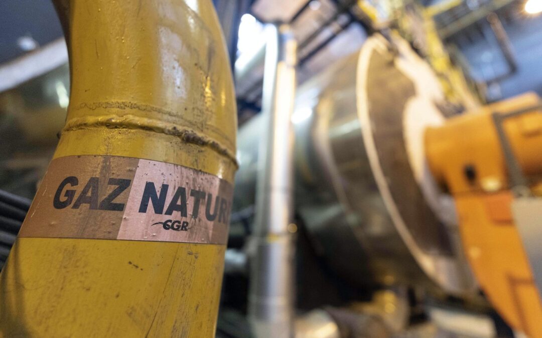 Europe urged to save natural gas to avoid shortage next year