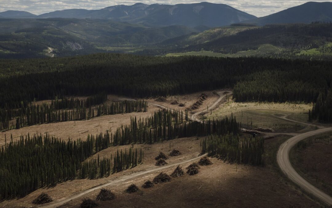 Environment a background issue in Alberta election but may play role, say observers