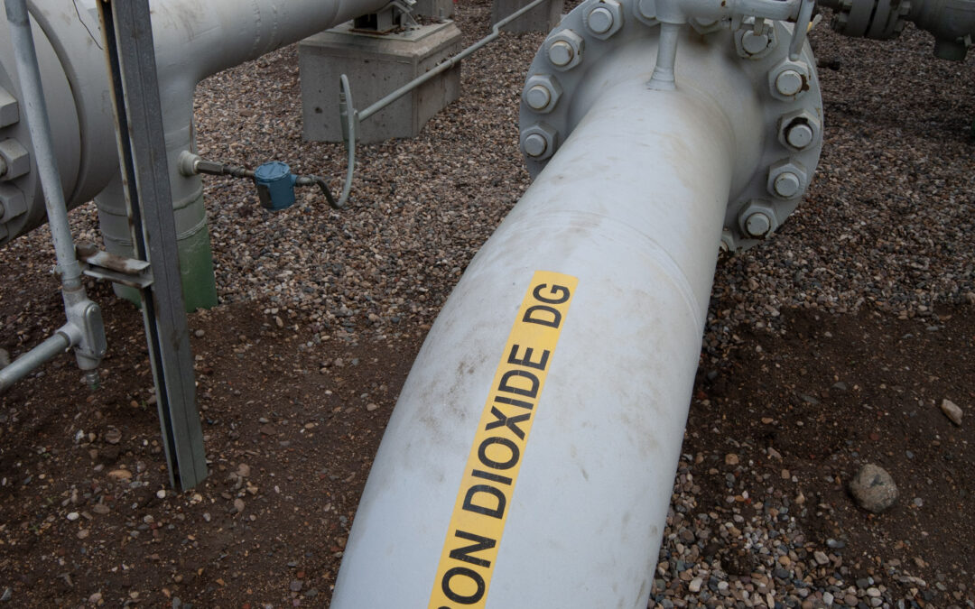 Tammy Nemeth: Beware – The Warrior Accountants are at the Gate