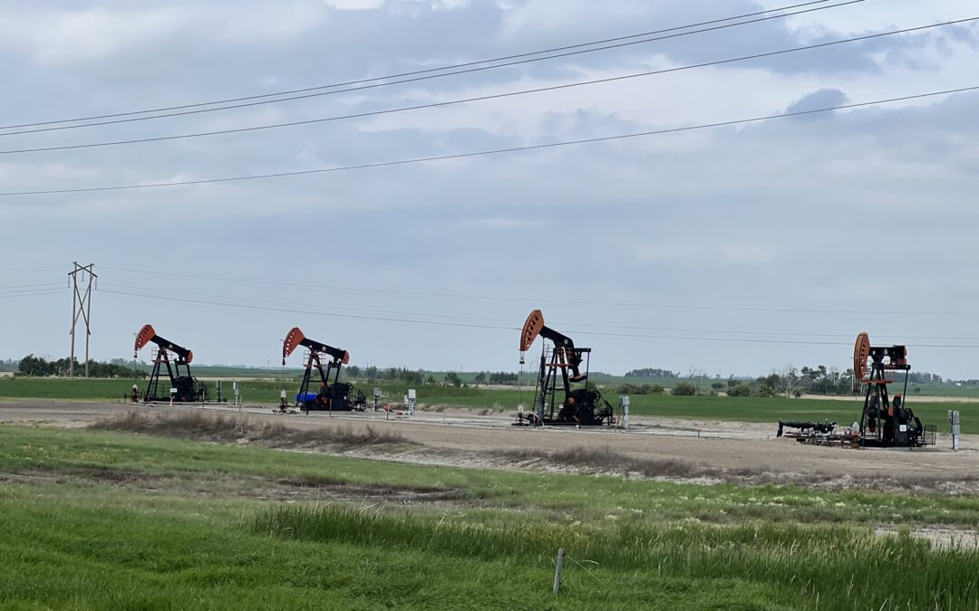 Op-Ed: Bill Whitelaw: Greenwashing regulations need to be based on fairness and not fear of persecution