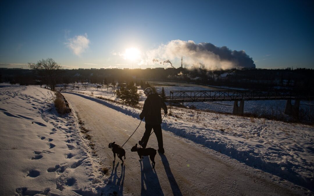 Record cold in Western Canada triggers havoc across B.C., Alberta