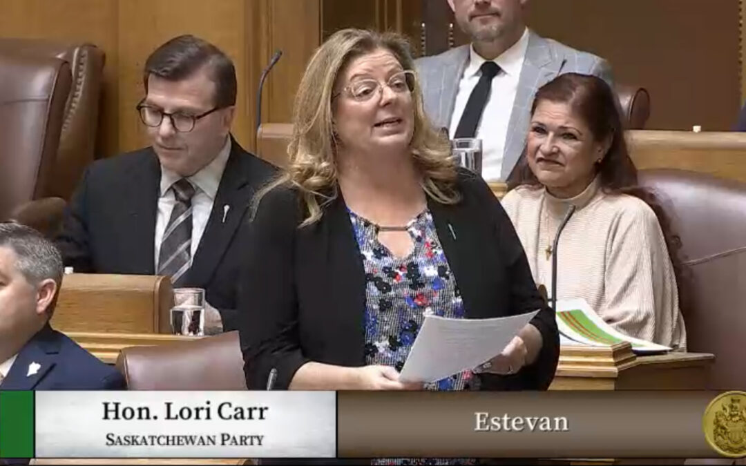 When is a carbon tax a tax or a price on pollution?