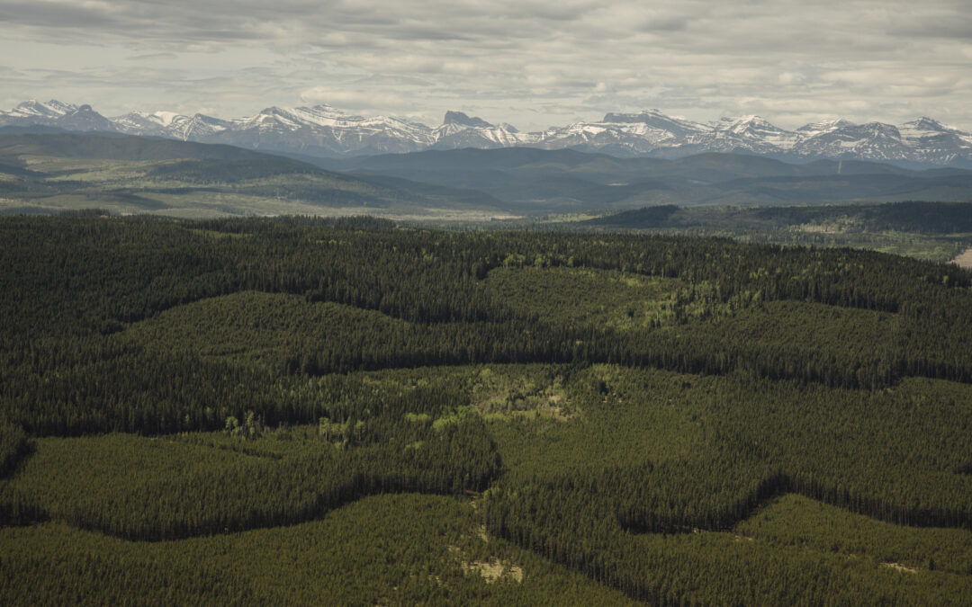 Alberta government releases no-go zone map for renewable power projects