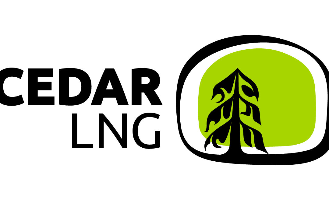 Baker Hughes to supply electric-driven liquefaction tech for Cedar LNG Project