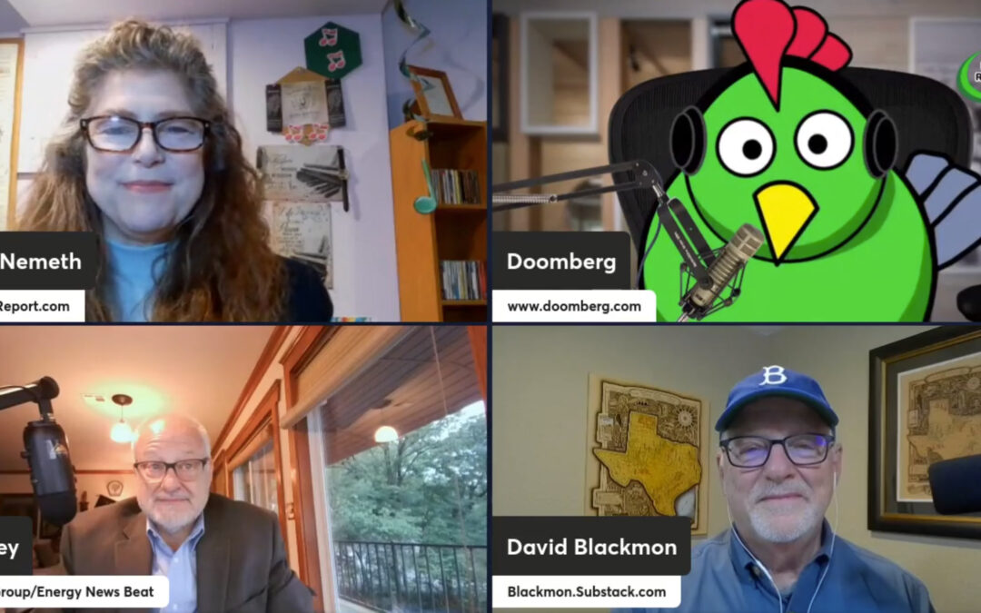 Tammy Nemeth: Doomberg on the Energy Realities Podcast