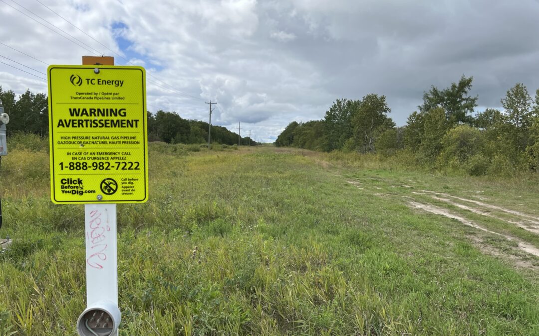 TC Energy sets growth sights on U.S. data centre boom