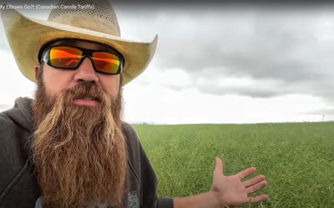 Quick Dick McDick: Where do my elbows go? (Canadian canola tariffs)