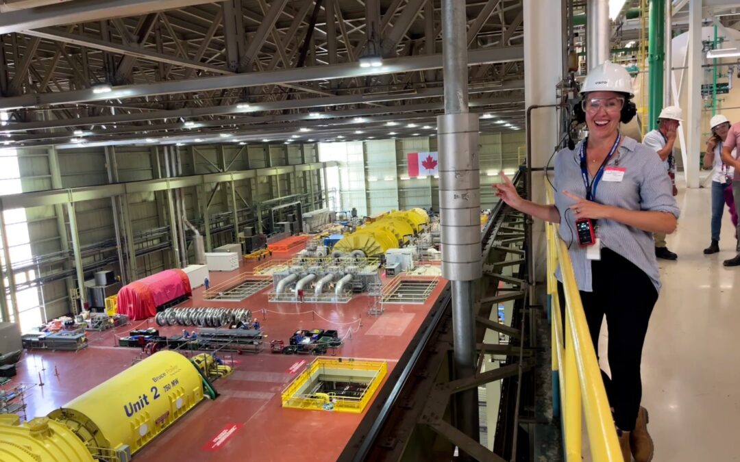 NDP reaction to National Nuclear Strategy
